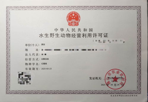 攜手專(zhuān)業(yè)力量，共拓水產(chǎn)健康養(yǎng)殖新篇章——誠(chéng)邀各省市代理加盟