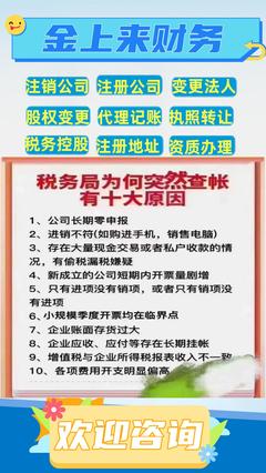 文昌市股權變更辦理流程與財務咨詢指南